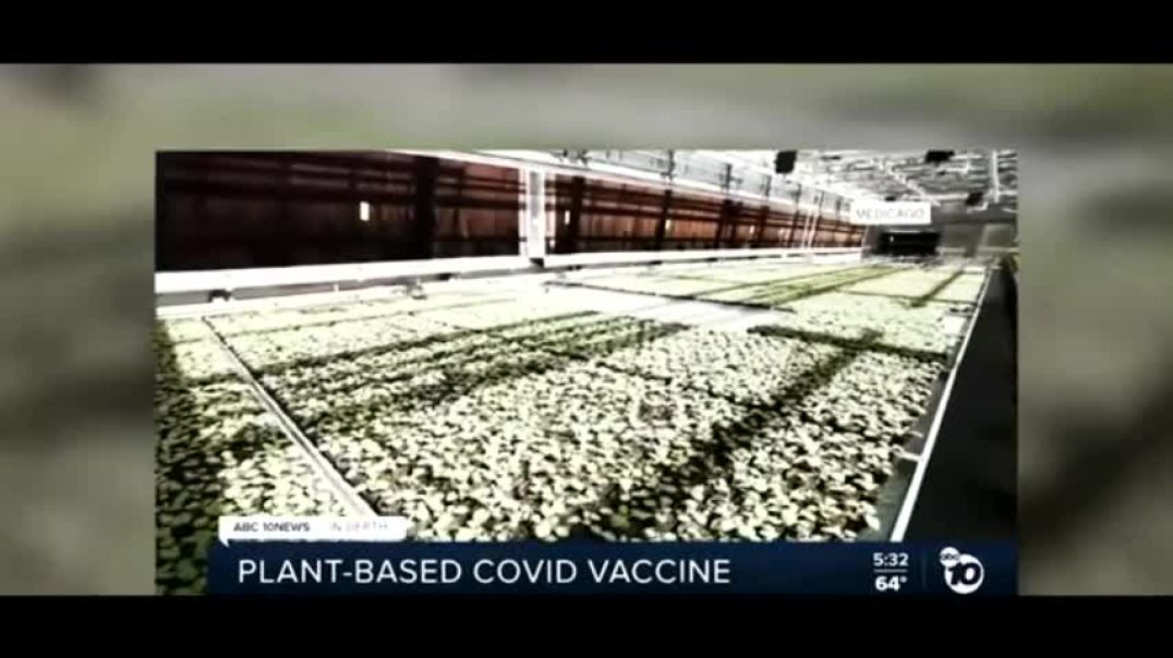 ⁣Covid Foods!!! ~ Grow Your Own or Else Become AI